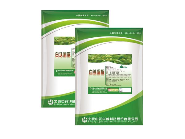 白頭翁散